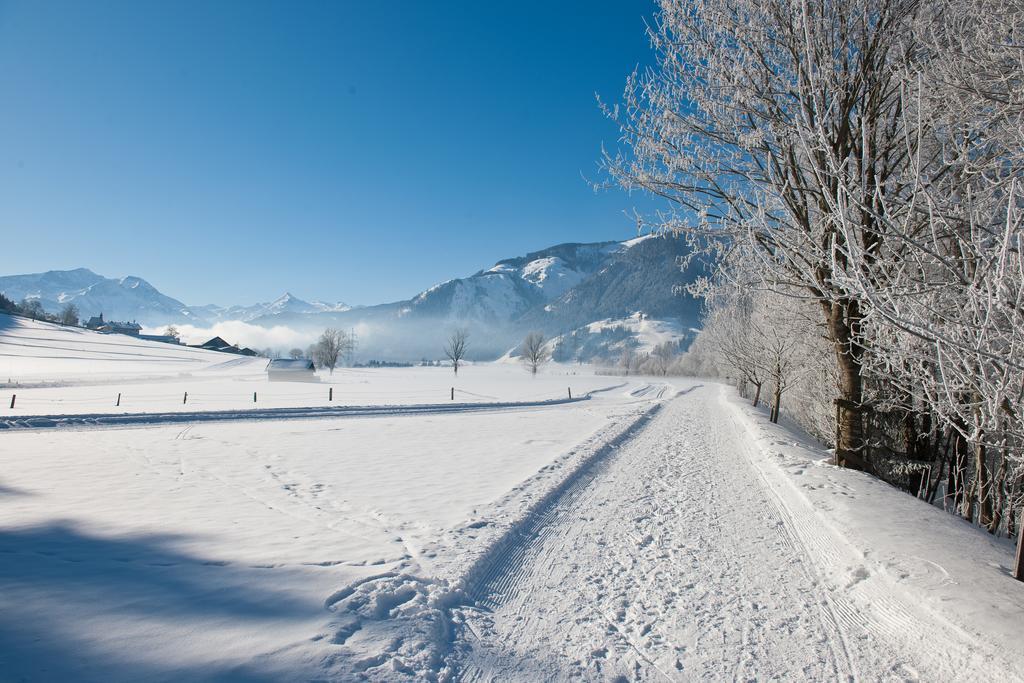 מאיסהופן Chaletdorf Zellersee מראה חיצוני תמונה
